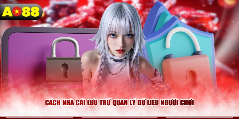 Cách nhà cái lưu trữ quản lý dữ liệu người chơi
