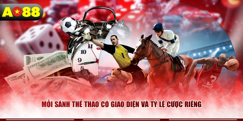 Mỗi sảnh thể thao có giao diện và tỷ lệ cược riêng
